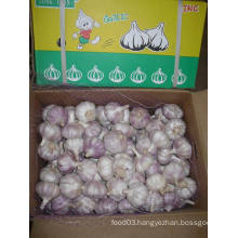 New Season Crop Garlic (4.5cm, 5.5cm, 5.5cm, 6.0cm)